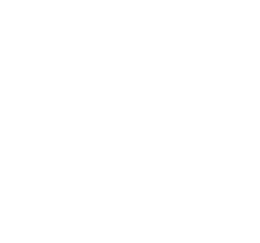 志洋科技