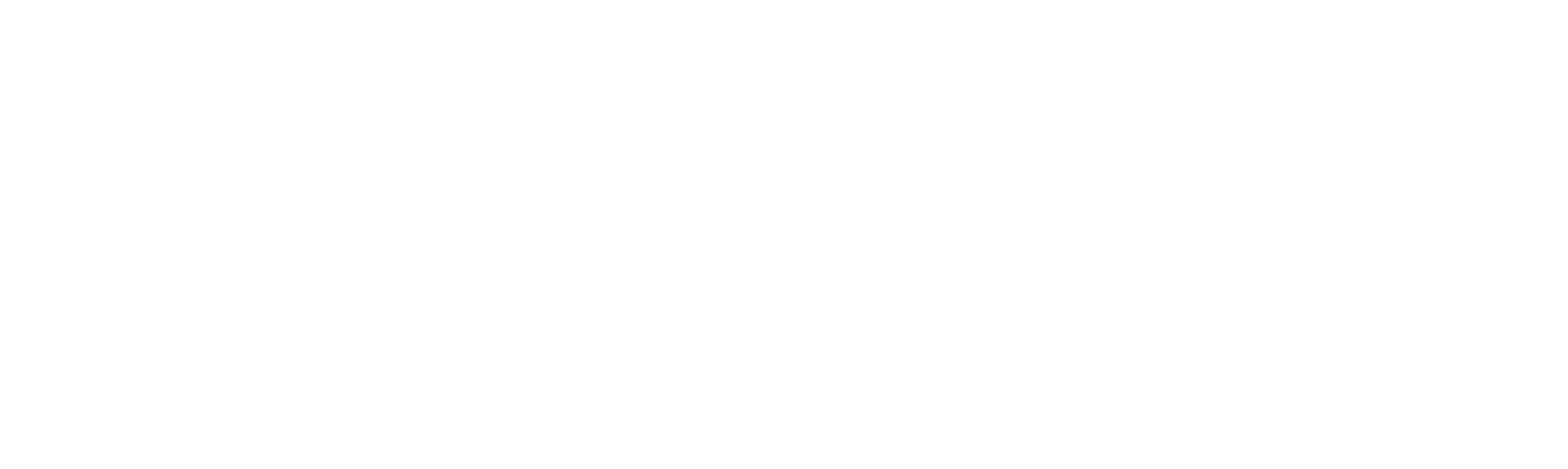 志洋科技